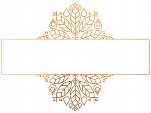 dew aesthetics logo